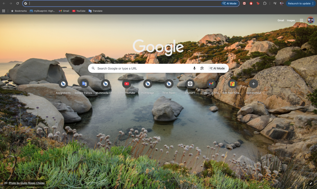 google webpage